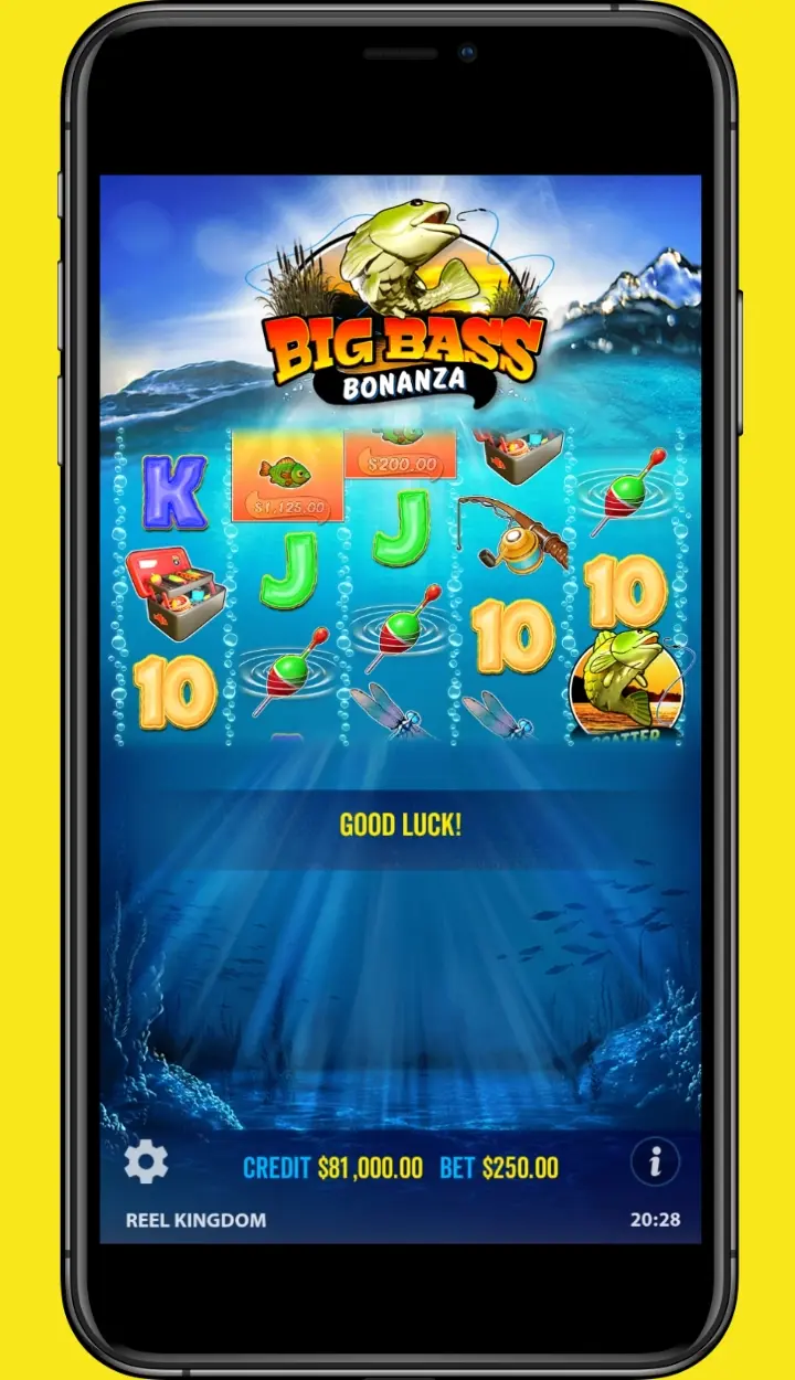 Zrzut ekranu aplikacji 3